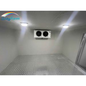 Walk-in Freezer Cold Storage Room Chiller Room with CE