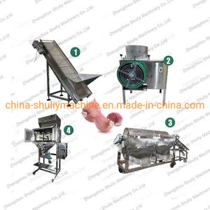 Garlic Petal Processing Machine Garlic Packing Processing Equipment