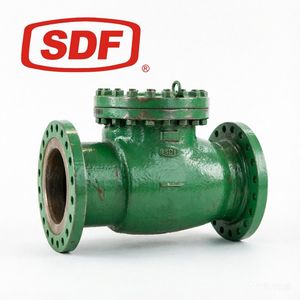 Mic Selected Stainless Steel Swing Flanged Straight Check Valve