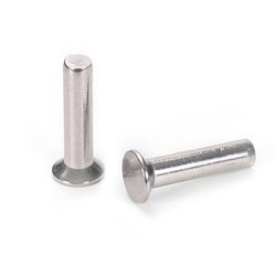 Stainless Steel 304 316 Flat Head Solid Rivets DIN 661 Permanent Metal Fasteners Metric M2 M3 M4 M5 M6 Round Shank Rivet Pin Solid Rivet M16