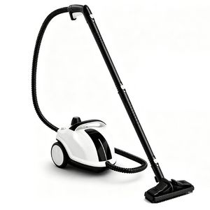 Home Use Steam Cleaner High Temperature Steam Cleaning Device