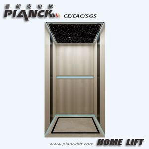 Sleek Elegant Low-Noise Anti-Fall Vvvf Villa Lift for Mansion Use