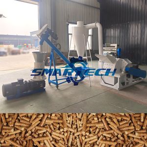 High-Performance Biomass Pellet Mill for Eco-Friendly Energy Solutions