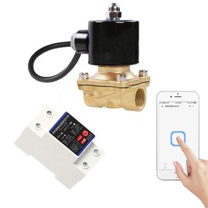24V 220V WiFi Smart Remotely Control Solenoid Valve on The Mobile Phone WiFi Brass Solenoid Valve Water Valve