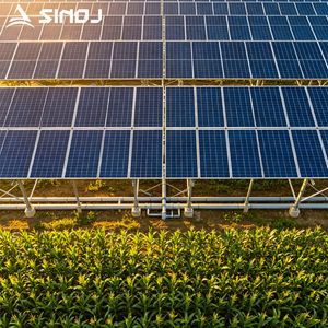 OEM Ground Mounted Agricultural PV Racking System