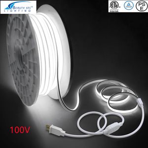PSE 100V High Brightness Double Row and Double Side Portable Reel LED Strip Light