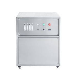 Portable Industrial Oxygen Generator 40L/Min Oxygen Machine for Fish Keeping/Glass Blowing Psa