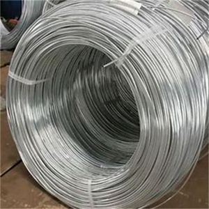 Premium Heavy-Duty Low Carbon Steel Wire for Durable Hangers