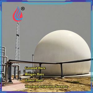 Biogas Engineering & Waste Recycling Environmental Protection Energy Utilization Equipment