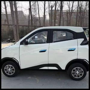 Compact Seagull 900kg Payload Electric Car with 3500W Motor and Lithium Battery