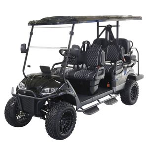 Maintenance-Free Electric Golf Cart for 6 with 48V Motor