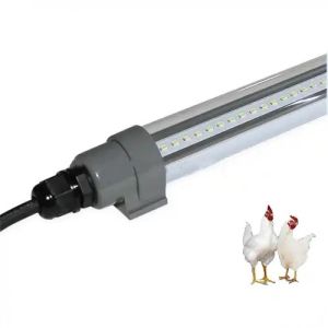 AC 100-240V DC 48V IP65 Waterproof T8 LED Dimmable Tube Poultry Light 4FT 5FT 0-100% Dimmable LED Chicken Farm Light with Dual Color
