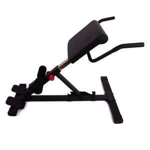 Professional Roman Chair for Effective Strength Training and Fitness