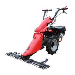 Hot Sale Power Tiller Cheap Cultivator Agriculture Power Tiller