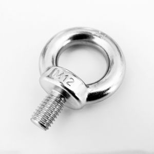 Stainless Steel 304 Lifting Eyebolt Crane Lifting Ring Eyebolt DIN580