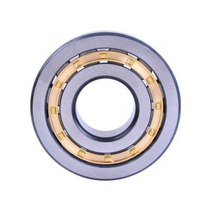 Bdl Cylindrical Roller Bearing Hot Sale Cylindrical Roller Bearing with High Quality