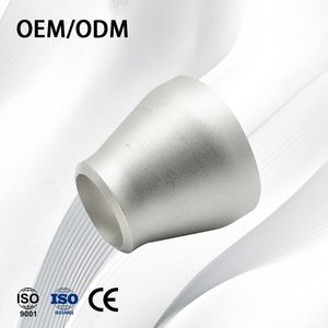 Stainless Steel OEM High Pressure Thin-Wall/Thick-Walled Reducer with Sandblast