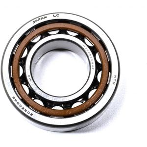 Nj207 208 307 308 2207 2208ecp/Ecph Cylindrical Roller Bearing for Industrial Pumps