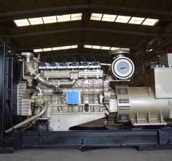 Biogas Generator Garbage Power Plant for Comprehensive Project