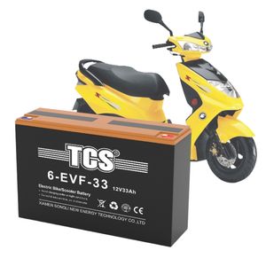 TCS Bike E-Bike  Electric  Battery 6-EVF-32
