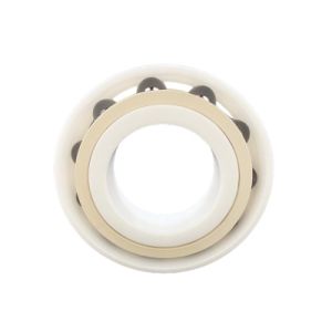 Angular Contact Ball Bearing 7802 Stainless Steel Inner and Outer Ring Ceramic Ball Bearing