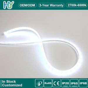 CE RoHS Approved RGB LED Strip Light 110V 220V High Voltage 5050 SMD 100m Waterproof IP65 IP67 Flexible Outdoor Smart Voice Control