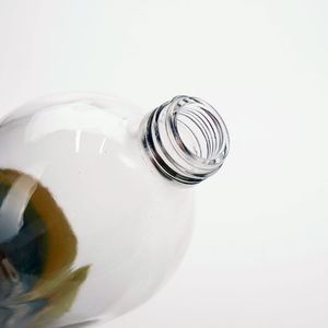 Vista Glass Sport Water Bottle