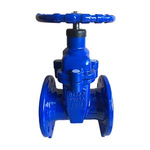 DIN Resilient Seat Rising Stem Gate Valve DIN3352-F4 Ductile Iron Ggg40 Ggg50 Pn10 Pn16