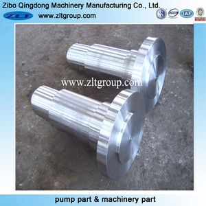 Customized CNC Machining Parts Pump Shaft in Stainless/Carbon Steel CD4/316
