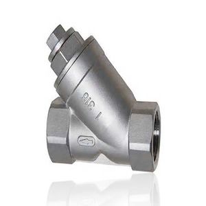 Stainless Steel Y Spring Check Valve with Internal Thread Spring One Way