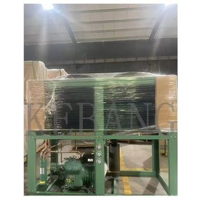4nes-14y-20d 4ncs-10 (Y) 4tes-12y-40p 10HP CQC Cold Room Air Cooling Condenser Refrigerator Compressor Unit 4tcs-10 (Y)