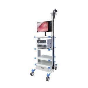 Portable Endoscope System for Versatile Medical Applications and Use