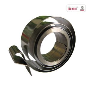 Variable Force Spring for Display Shelf Pusher Xhx-Sdp1