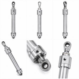 Stainless Steel Hydraulic Cylinder for Automatic Feeding System