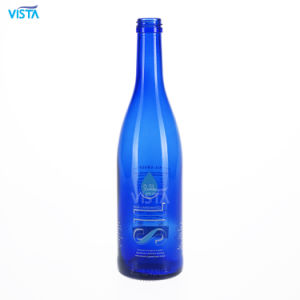 Vista Glass -197 Glass Water Bottle with Silicone Sleeve