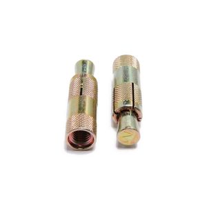 Factory Direct Supply OEM Expansion Bolt Stainless Steel M6 M8 M10 M12 Drop in Anchor
