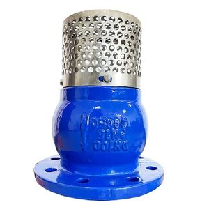 Flange End Check Valve Cast Ductile Iron Foot Valve with Strainer Filter Screen