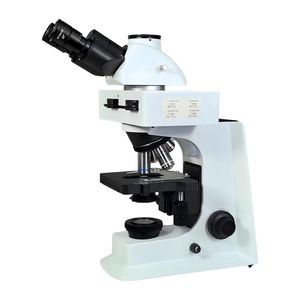 Advanced Digital Fluorescent Microscope for Eye Health Studies