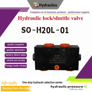 Application of So-H20L-01 Hydraulic Lock in Industrial Machinery Industry