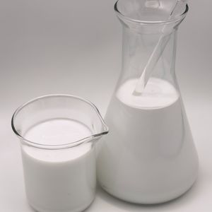 High Quality Ebs Emulsion White Environmental Protection Plastic Additive