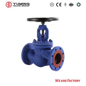 DIN Cast Iron/Wcb Flange Globe Valve