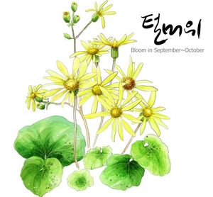 Heat Transfer Foil Flower Design, Beautiful Design