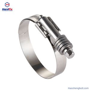 Stainless Steel Turbine Pipe Clamp Spring Loaded Hose Clamp Custom Size T-Type Hose Clamp Steel Hose Clamp Pipe Clamp Hose Clip Tube Clamp