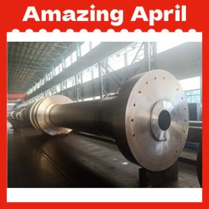 Premium Quality Heavy Shaft, Big Shaft for Thermal Power, Hydro Power of Turbine Shaft, Motor Shaft, Rotar Shaft