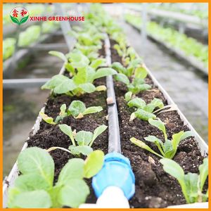 Multi Span Polycarbonate Greenhouse for Planting