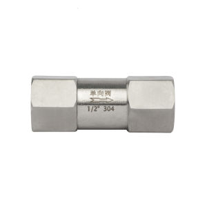 High-Performance Stainless Steel Check Valve for Steam Applications