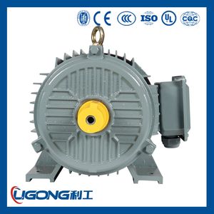 3-Phase Electromagnetic Brake AC Motor Yej2160L-4 1460rpm 15kw for Printing Press