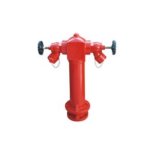Durable Two Way Pillar Fire Hydrant for Reliable Safety Solutions
