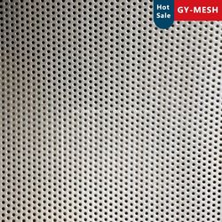 Punching Hole Mesh/Perforated Metal Sheet Panel Factory Price
