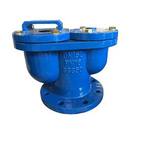 Pn10 Pn16 Flange Double Hole Automatic Air Vent Release Valve Ductile Iron Micro Exhaust Valve